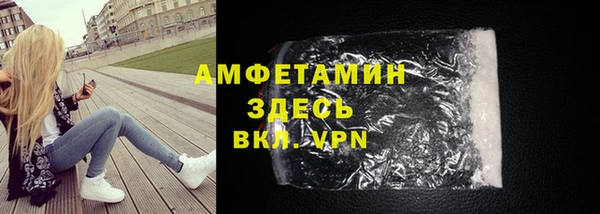 сатива Гатчина