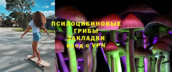 сатива Гатчина